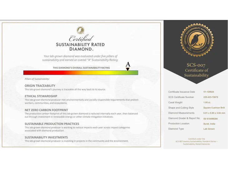 C- (C Minus®) Carbon Negative Diamonds