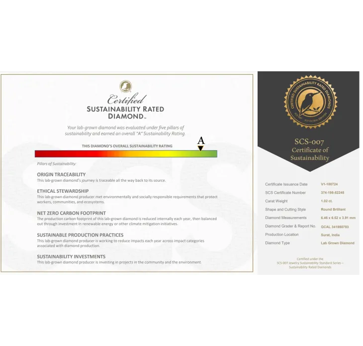 C- (C Minus®) Carbon Negative Diamonds