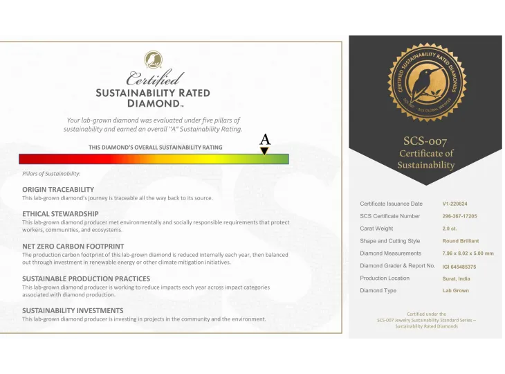 C- (C Minus®) Carbon Negative Diamonds